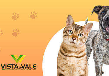 Responsabilidade social com amor e proteçao